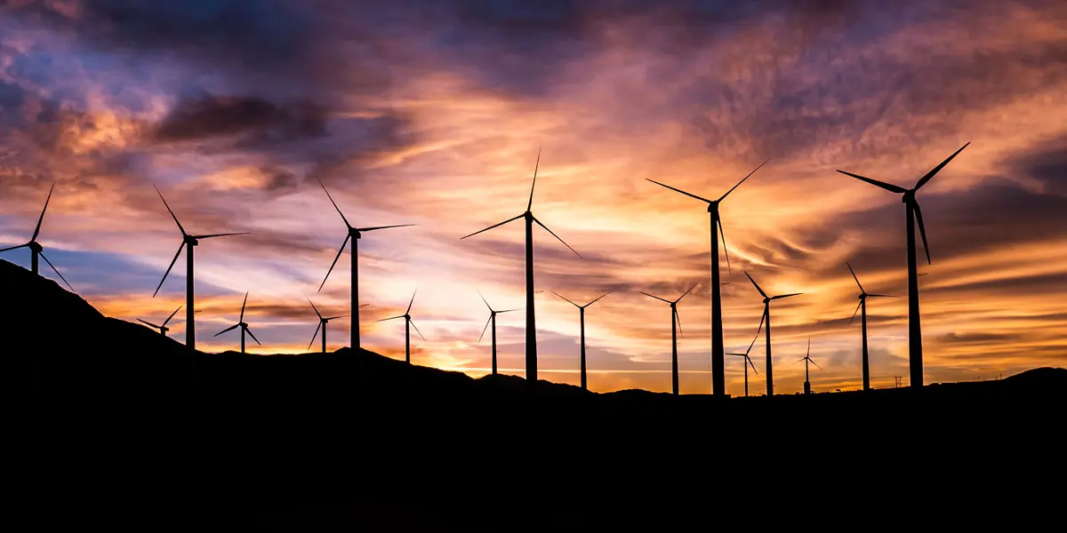 Renewables bring might to the race for returns