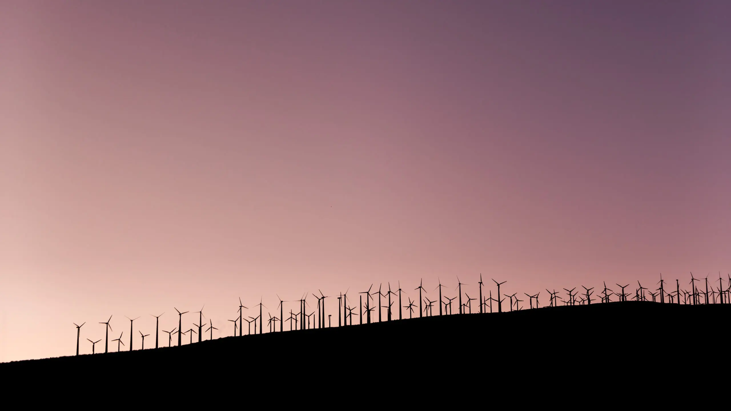 ESG ratings under scrutiny
