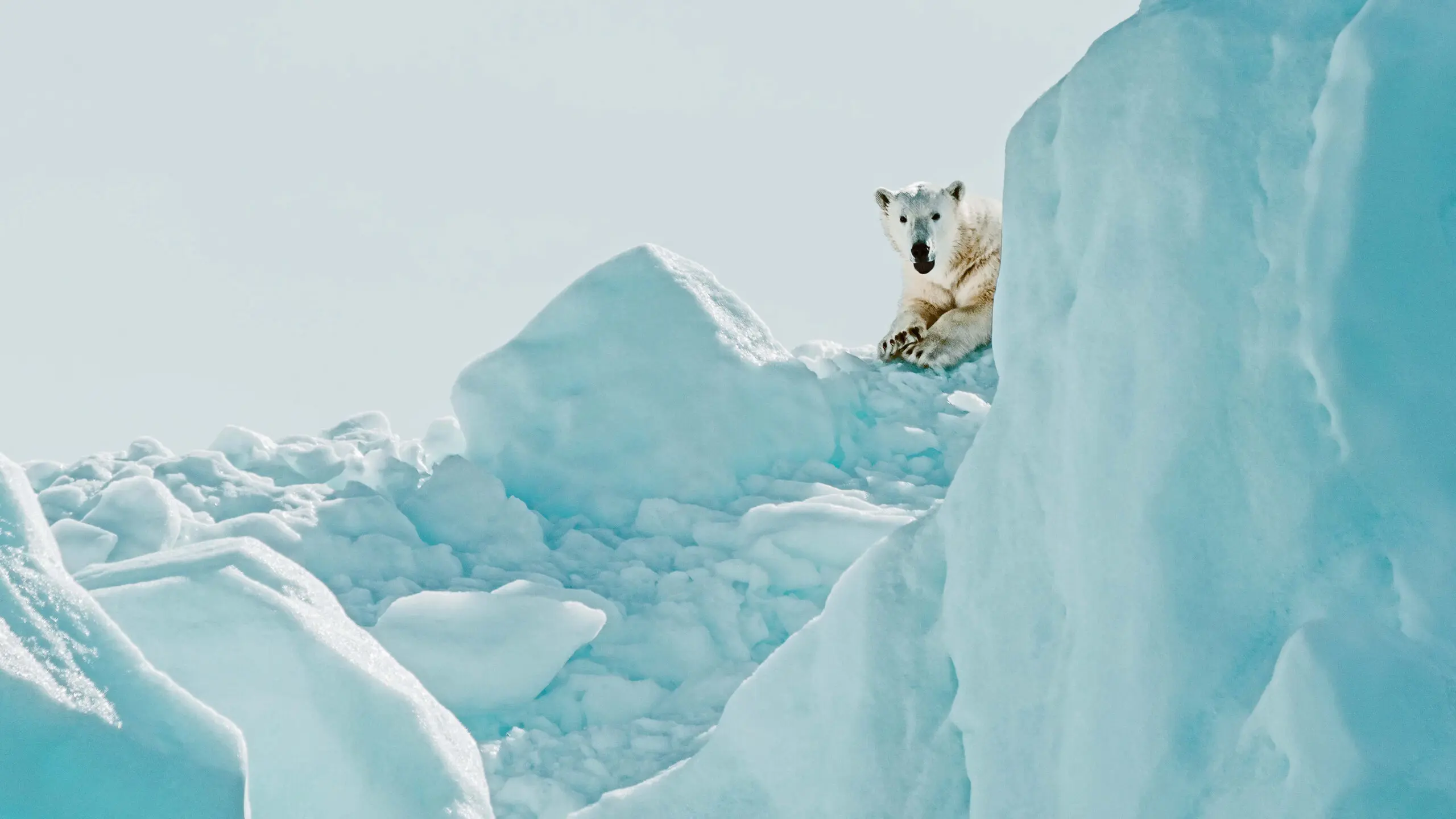 Building Climate Aware Portfolios