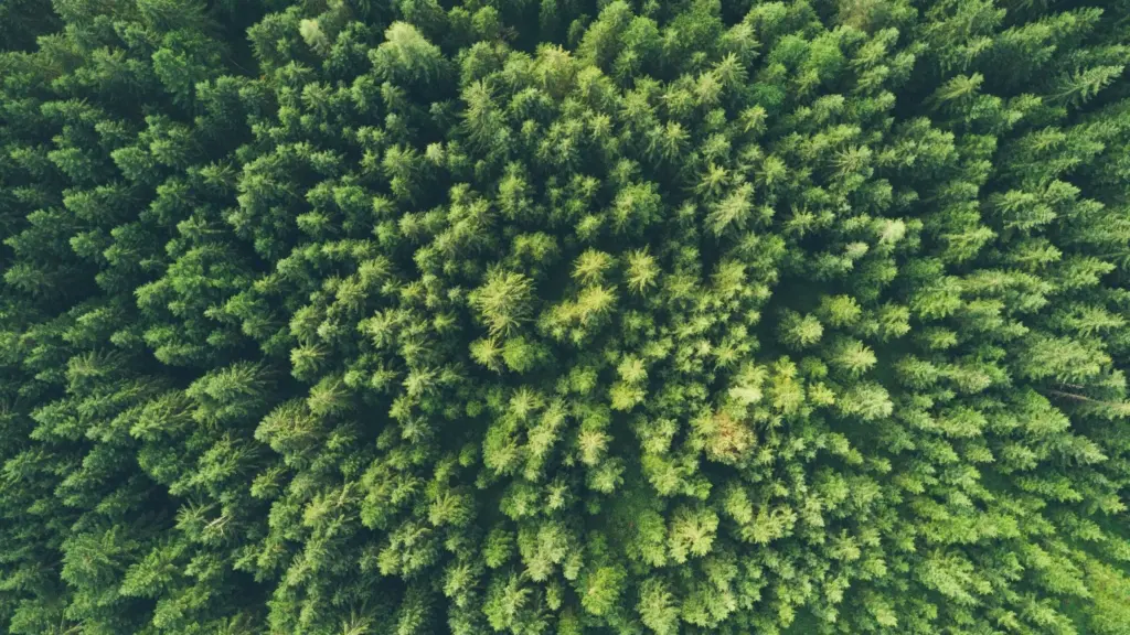 ASX update; a win for ESG