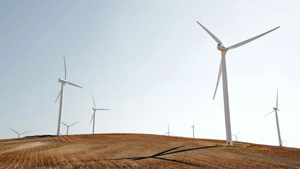 Sustainable funds boom surges to another record