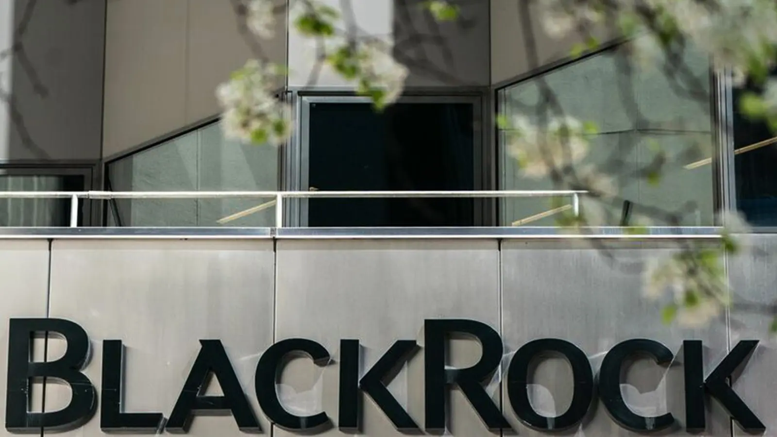 BlackRock-nabtrade partnership brings more competition to ETF market