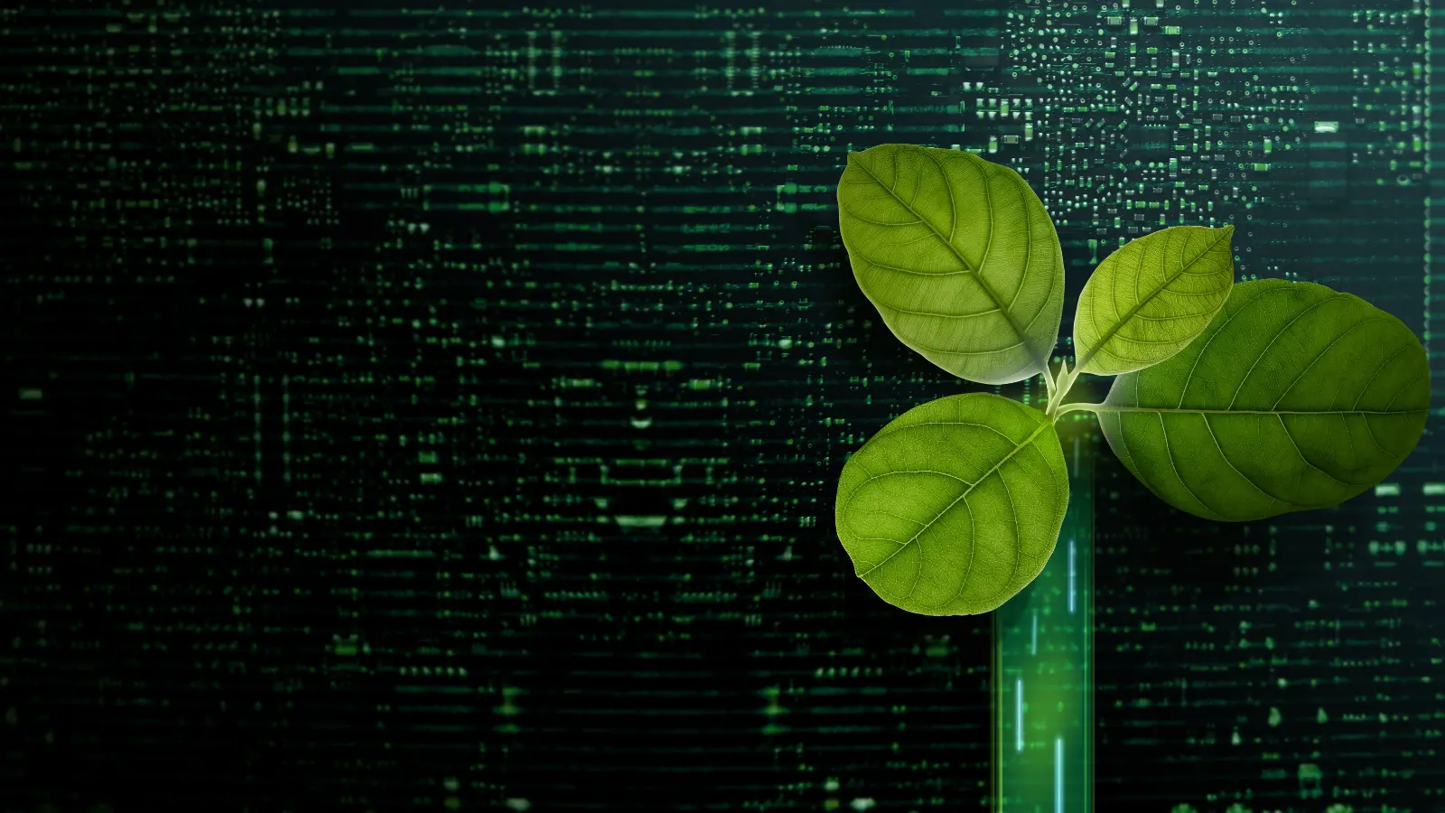 Why private debt is a better way to get companies to meet ESG goals