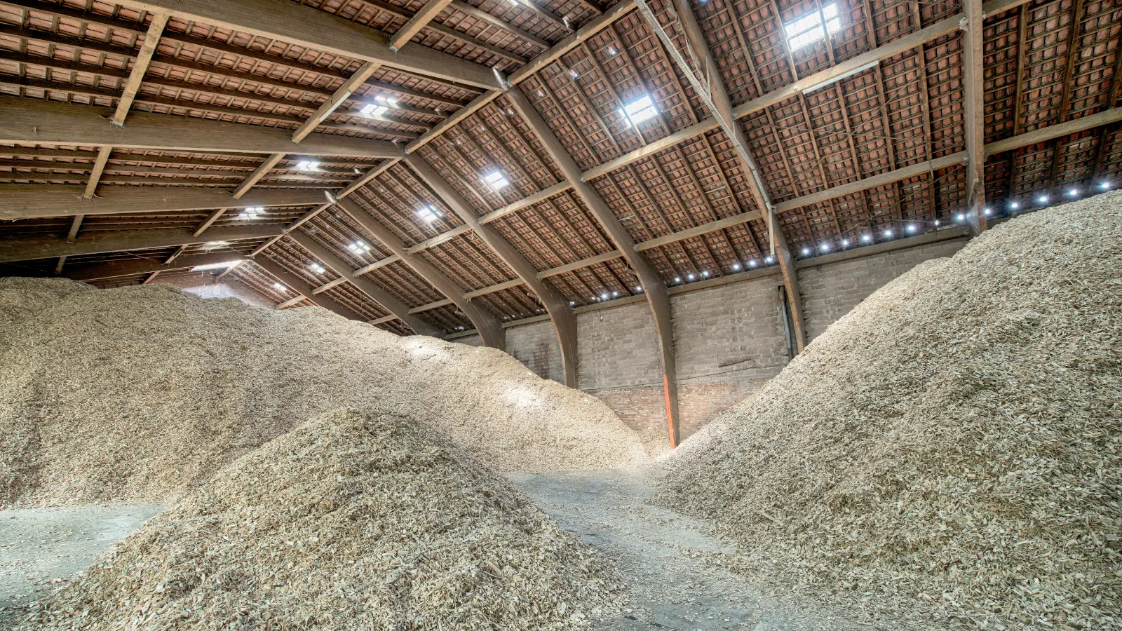 From engagement to divestment: Woodchip mill saga a microcosm of ESG’s global path
