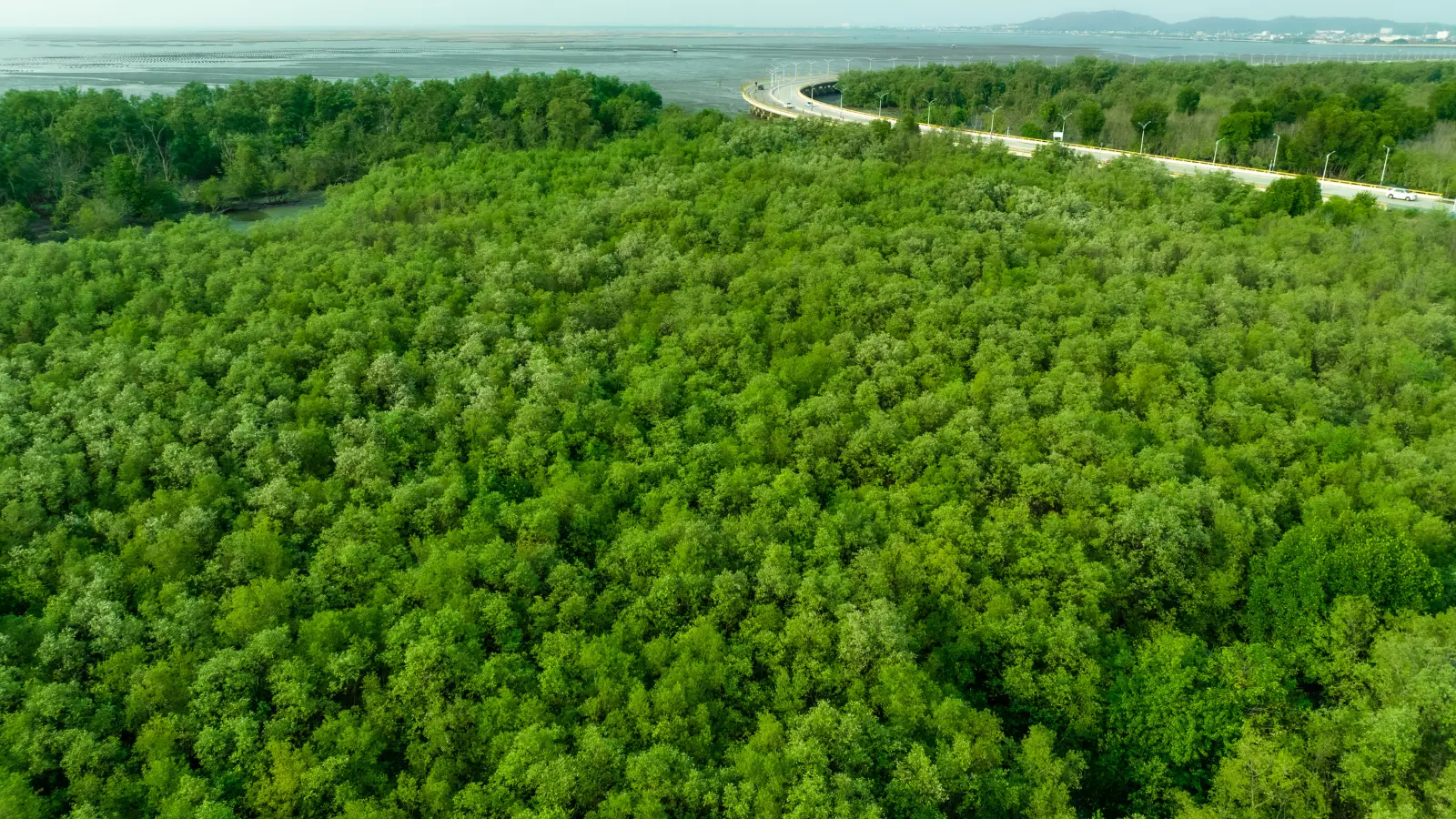 A rocky net zero pathway: Amundi