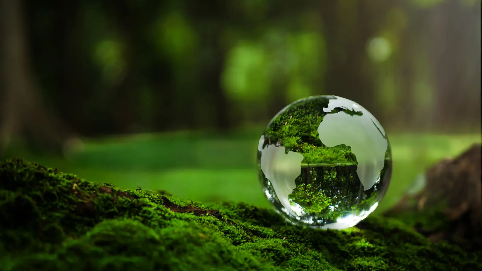 Why I’m committed to ESG, despite the momentum shift