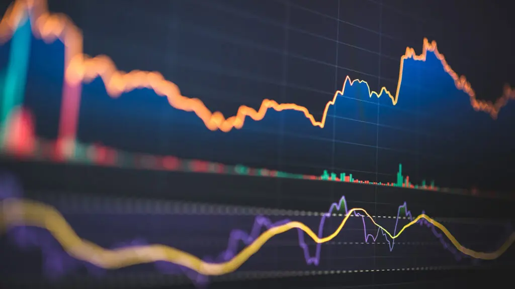 Navigating uncertainty, finding opportunity